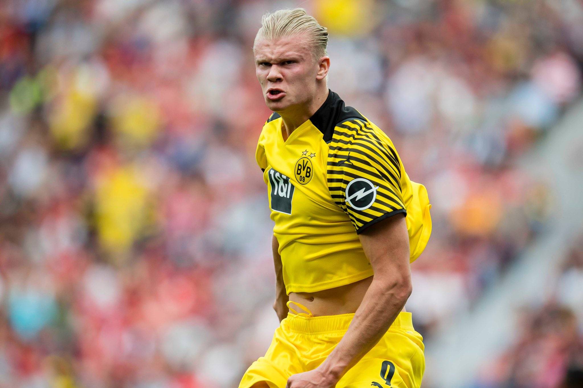 高质量回答！王楚钦赛后的这段采访，建议所有人都学学