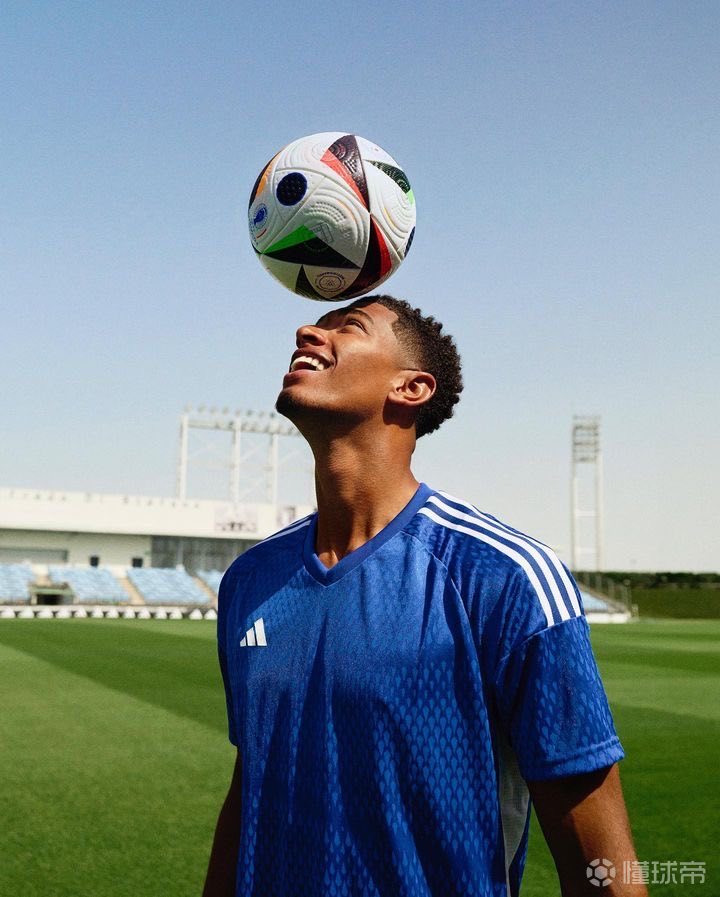 费内巴切官方：已就对比尔森胜利主裁的判罚问题向欧足联投诉